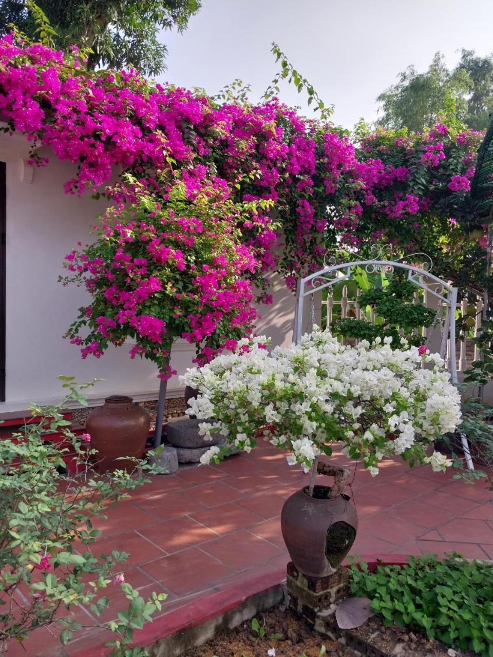 Nha Xanh Homestay Ninh Bình Ngoại thất bức ảnh
