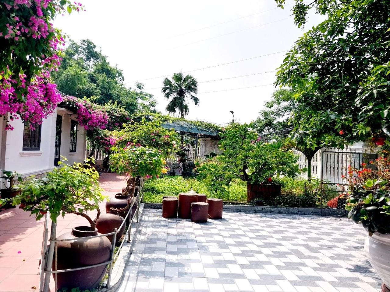 Nha Xanh Homestay Ninh Bình Ngoại thất bức ảnh