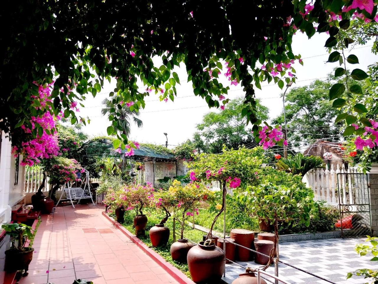 Nha Xanh Homestay Ninh Bình Ngoại thất bức ảnh